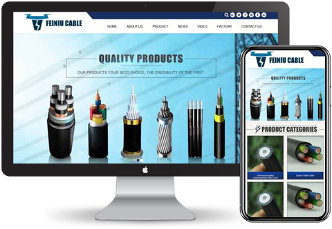 外貿(mào)網(wǎng)站建設(shè)案例